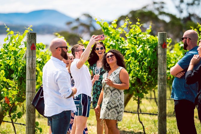 Tasmanian Premium Wine Tour with Tasmanian Cheese Platter - Is this the right wine tour for you?