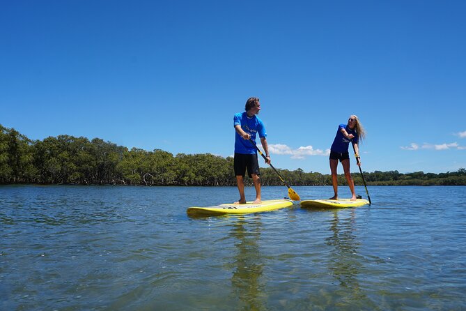 The Byron Bay Sea Kayak Tour - Stop 3, Cape Byron Lighthouse Views Without Leaving the Bay