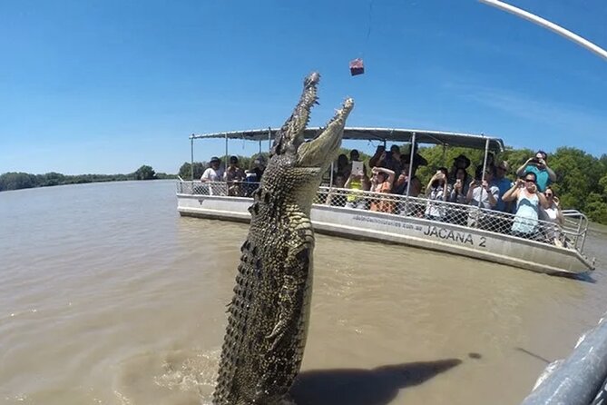 The Croc Bus to the Famous Jumping Crocodile Cruise - Croc Bus logistics that actually feel easy in Darwin