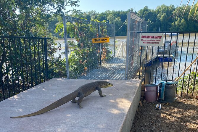 The Croc Bus to the Famous Jumping Crocodile Cruise - Adelaide River cruise: where the jumping crocs steal the show