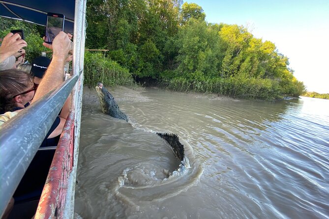The Croc Bus to the Famous Jumping Crocodile Cruise - Should you book the Croc Bus to the Jumping Crocodile Cruise?