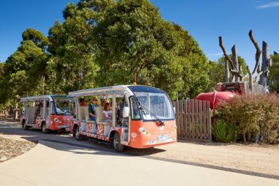 The Explorer – Cranbourne Gardens