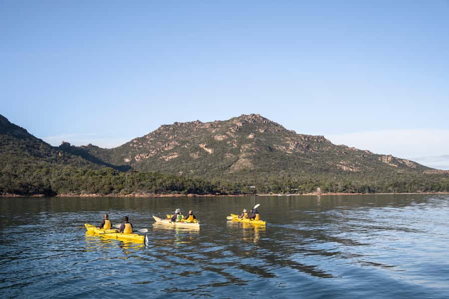 The Freycinet Paddle Kayak Tour - Paddling the Coles Bay coastline: pink granite, sandy beaches, and wildlife odds