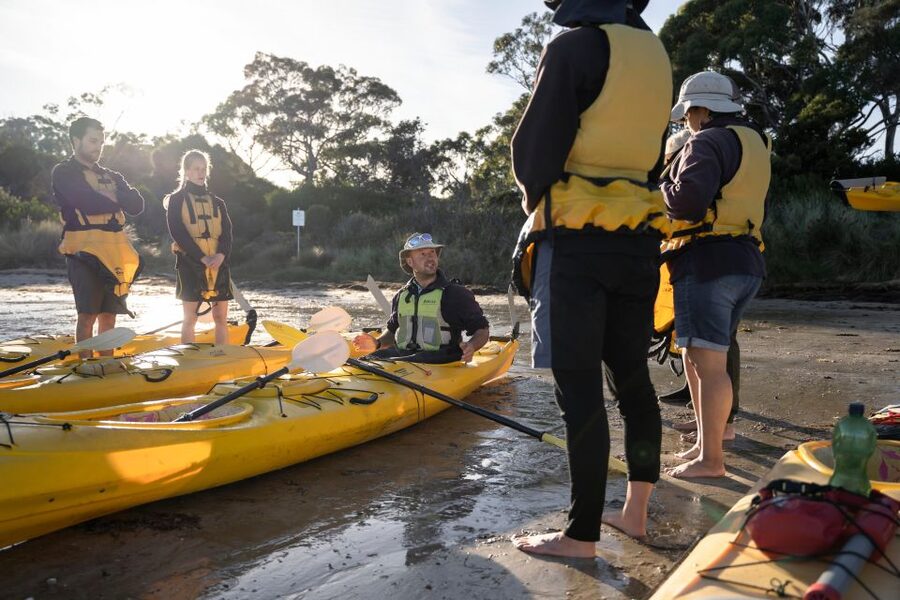 The Freycinet Paddle Kayak Tour - Price and value: is $109 worth 3 hours of Freycinet sea kayaking?