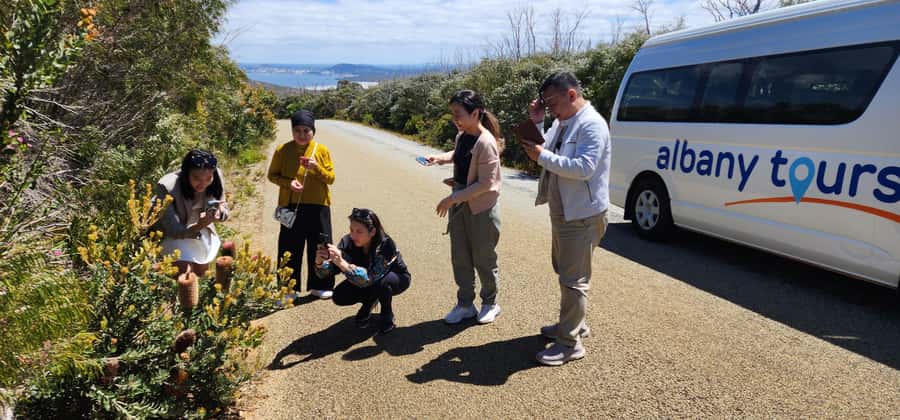 The Gap & Natural Wonders Tour - The Gap: where you feel the coast instead of just seeing it