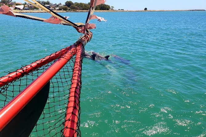 The Pirate Cruise in Mandurah on Viator - Your 45-minute cruise through Mandurah canals