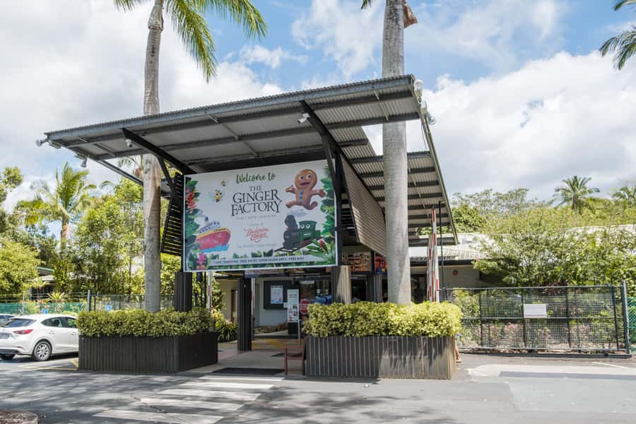 The Sunshine Coast: The Ginger Factory Tour & Tasting - Quick hits before you go
