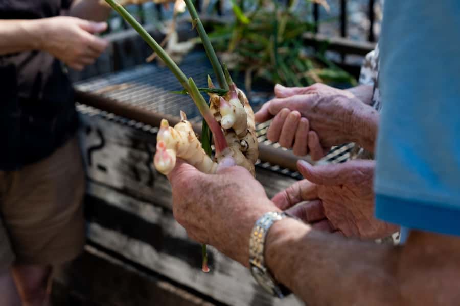 The Sunshine Coast: The Ginger Factory Tour & Tasting - Getting oriented at The Ginger Factory ticket desk