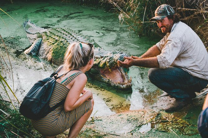 Top End Safari Camp Day Tour - Matt Wright’s rescue croc feeding: the stop with emotion