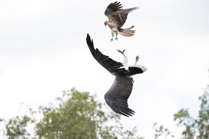 Top End Safari Camp Day Tour - 10-minute helicopter flight: quick airborne views that pay off