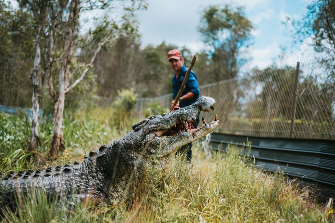 Top End Safari Camp Day Tour - Who should book this Top End Safari Camp day tour