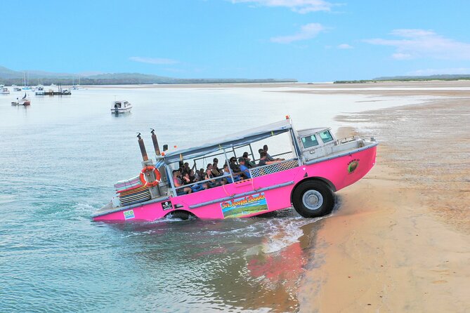 Town of 1770 Afternoon Cruise - Eurimbula National Park stop: the coast view and wildlife search