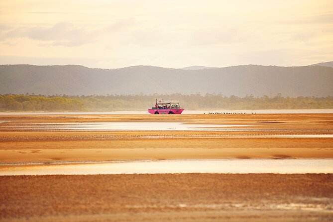 Town of 1770 Afternoon Cruise - The guide makes it: jokes, history, and real-time wildlife spotting