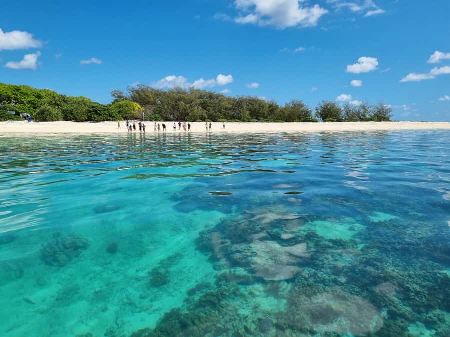 Town of 1770: Lady Musgrave Island Snorkelling Day Cruise - The catamaran ride: scenic time, but prepare for choppy water