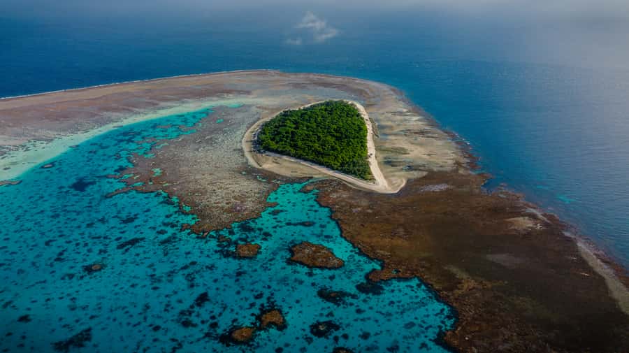Town of 1770: Lady Musgrave Island Snorkelling Day Cruise - Getting to the starting line in Town of 1770 (and how the timing feels)