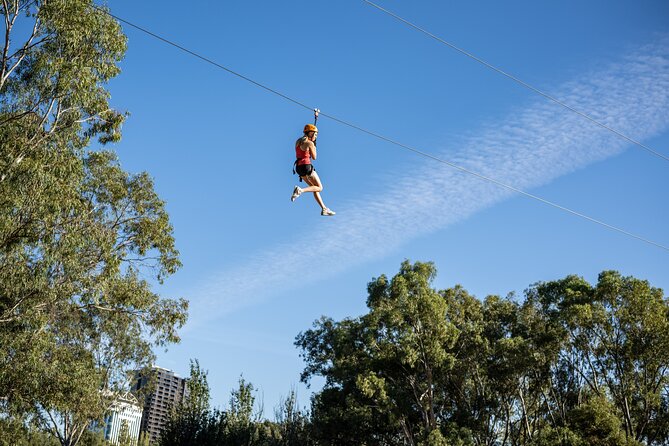 Tree Top Activity for Thrill Seekers and Adventurers in Adelaide - Key Things I’d Know Before You Go