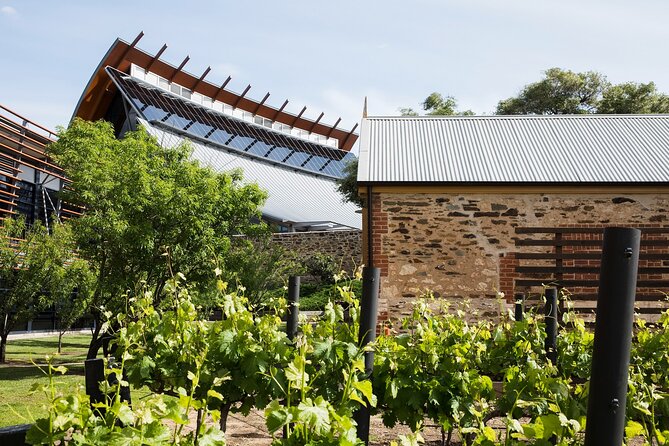 Ultimate Adelaide City and Hahndorf Tour - Lunch is on you, so place it well