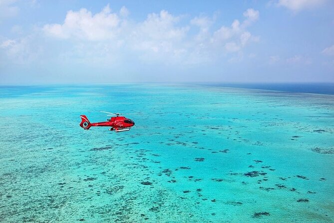 Ultimate Great Barrier Reef and Rainforest 45-minute Helicopter Tour - Green Island from the air, and the sense of scale