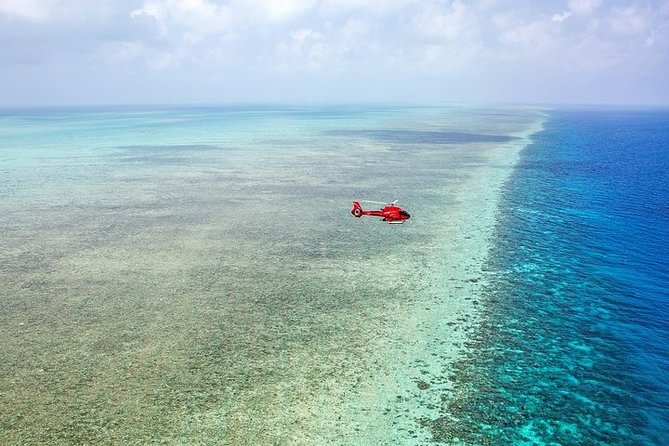 Ultimate Great Barrier Reef and Rainforest 45-minute Helicopter Tour - Price and value: what $451.29 really buys you