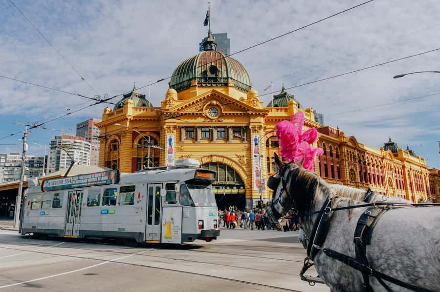 Ultimate Melbourne Walking Tour: History, Laneways & Culture - Price and value, what $91 buys you in real terms