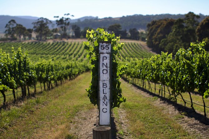Ultimate Mornington Peninsula Food and Wine Small Group Tour - Merricks General Store: lunch built from local produce, plus a tasty wrap-up