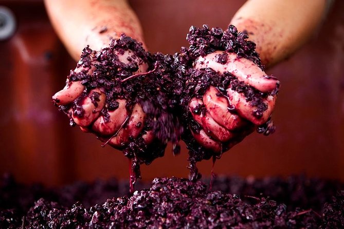 Ultimate Mornington Peninsula Food and Wine Small Group Tour - Guides, group size, and the personalization that people rave about