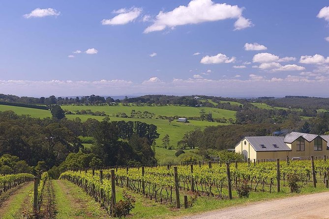 Ultimate Mornington Peninsula Food and Wine Small Group Tour - Value check: what $193.66 buys you in real terms