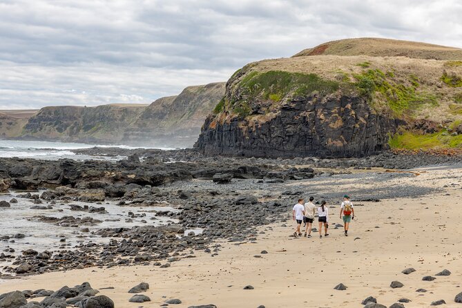 Ultimate Peninsula Adventure: Stand Up Paddle, Hot Springs, Hike, Lunch & Winery - Who this tour is best for (and who should skip it)