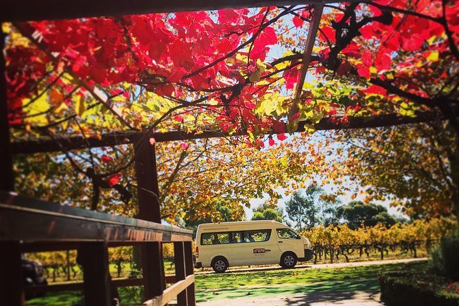 Ultimate Swan Valley Food and Wine Day Trip from Perth - Microbrewery Beer Tasting, and the Last Stop Reality Check