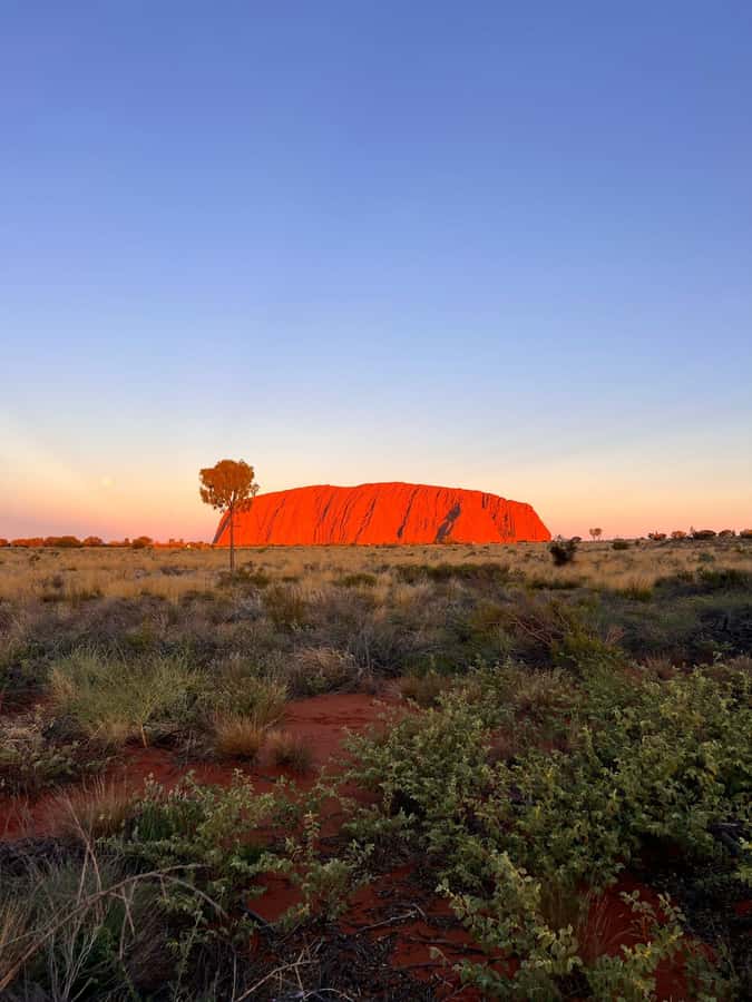 Uluru: 4-Day Rock to Rock Adventure Tour - Day 3 Kings Canyon Rim Walk, Garden of Eden, then Curtin Springs