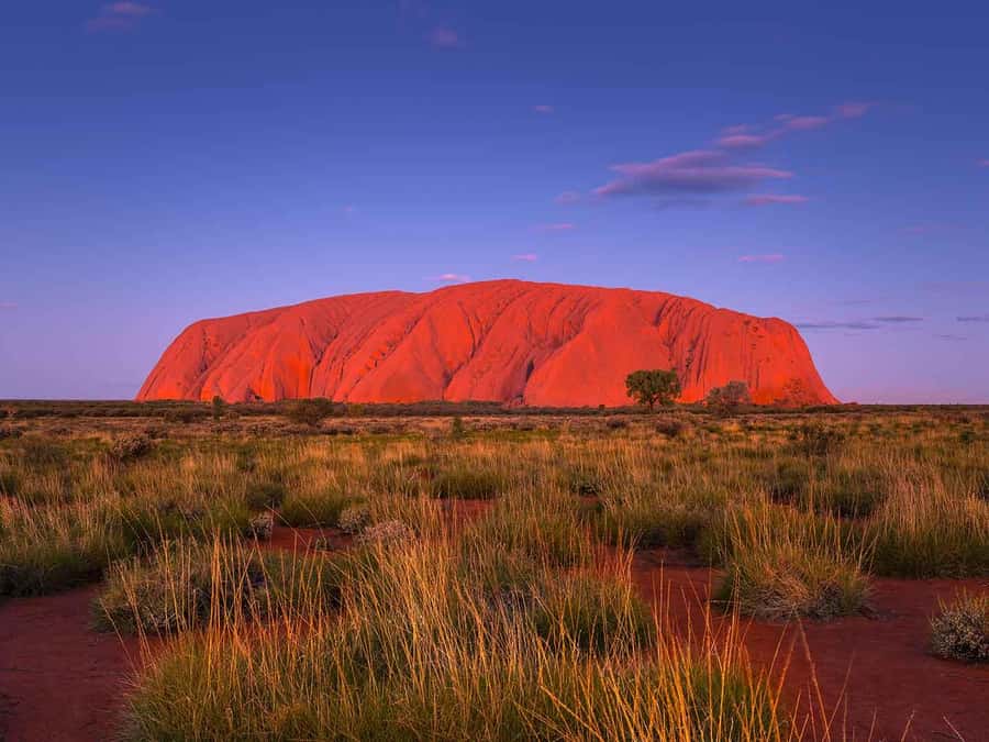 Uluru: 4-Day Rock to Rock Adventure Tour - Guide impact, from Sophie to CJ (why names keep popping up)
