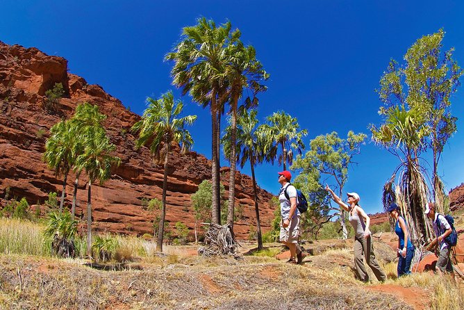 Uluru (Ayers Rock) Sunset + Outback Barbecue Dinner & Star Talk - Group Size, Timing, and Comfort Notes