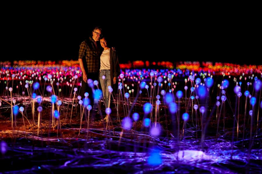 Uluru: Field of Light Sunrise Tour with Hot Drinks - Key moments to plan for