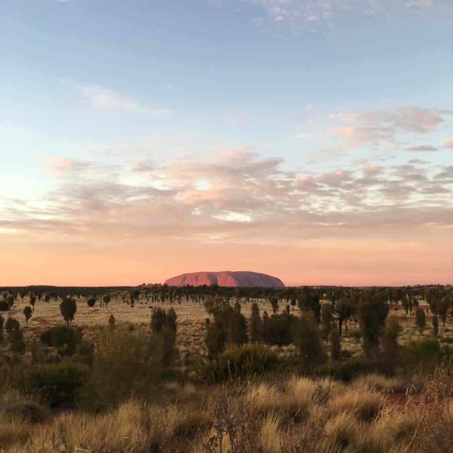 Uluru: Field of Light Sunrise Tour with Hot Drinks - Field of Light Sunrise, why it feels special at 5 AM
