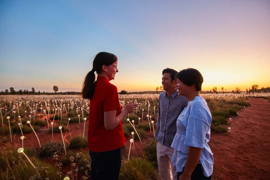 Uluru: Field of Light Sunrise Tour with Hot Drinks - Walking the Field of Light in the dark, what you actually experience