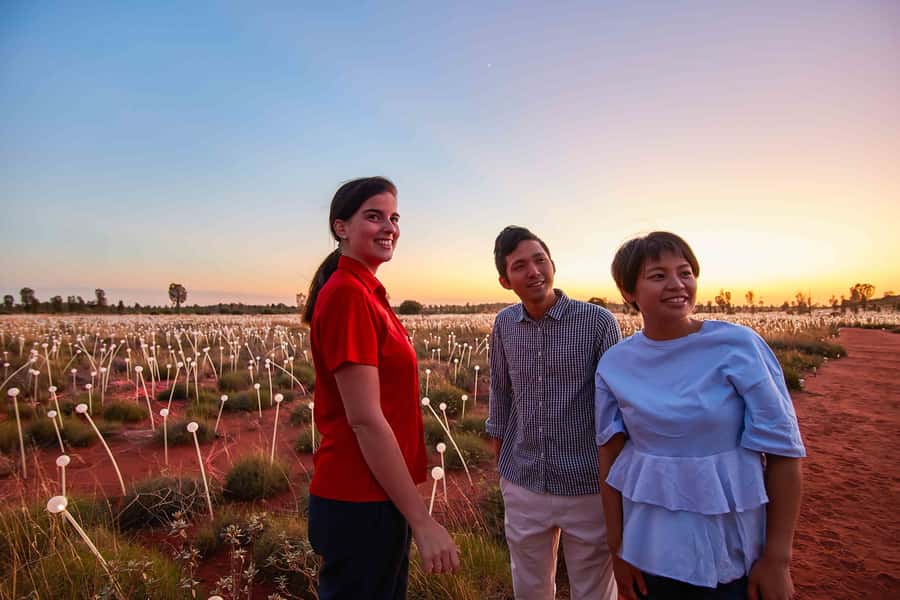 Uluru: Field of Light Sunrise Tour with Hot Drinks - The dune top viewing area, where sunrise takes over