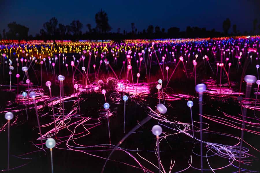 Uluru: Field of Light Sunrise Tour with Hot Drinks - Hot drinks at dawn, simple comfort that saves your morning