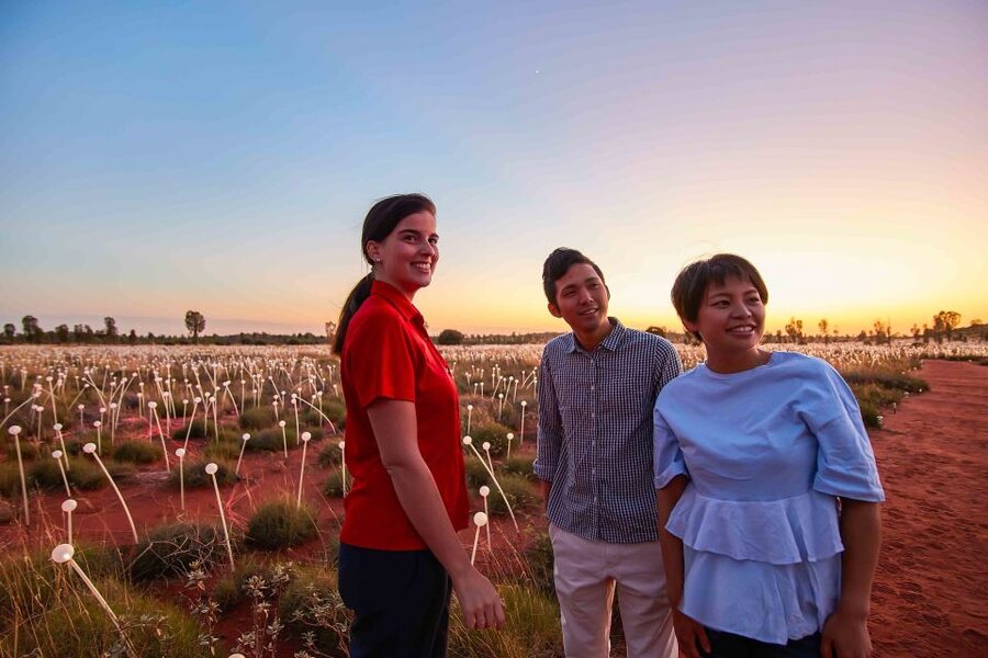 Uluru: Field of Light Sunrise Tour with Hot Drinks - Guide style matters, and you’ll feel it during the explanation