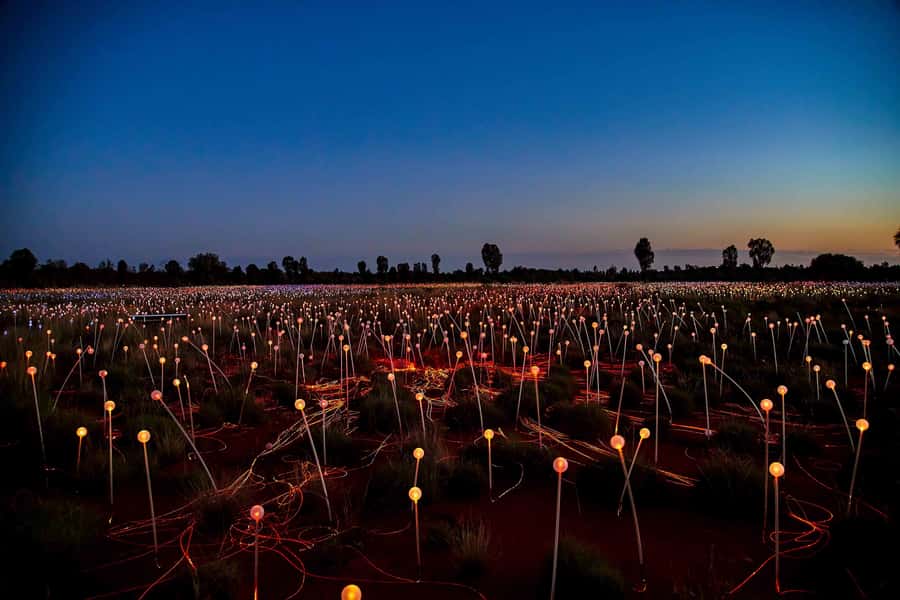 Uluru: Field of Light Sunrise Tour with Hot Drinks - Timing and how to get the best photos without losing your mind
