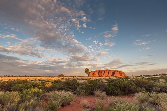 Uluru, Kata Tjuta and Kings Canyon Camping Safari from Alice Springs - Key Highlights That Matter