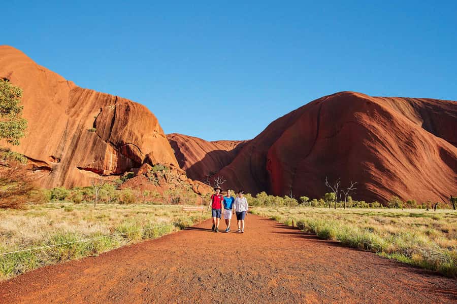 Uluru: Sacred Sites & Sunset Tour with Wine & Cheeseboard - Key points to know before you go