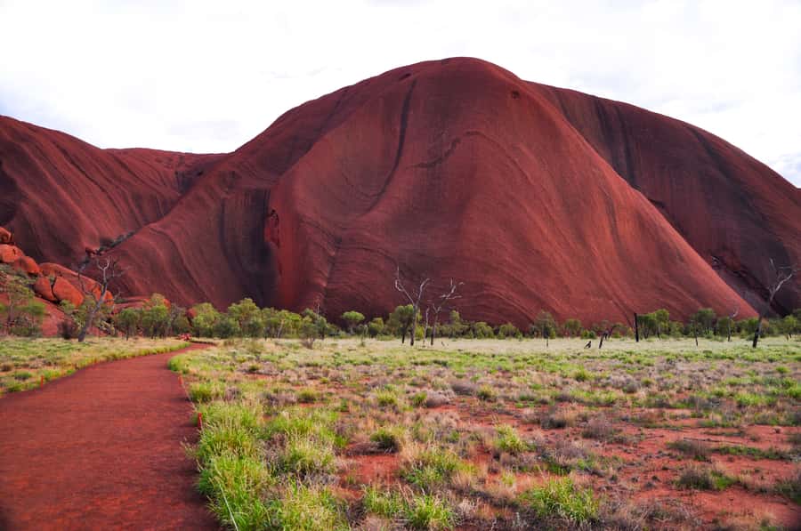 Uluru: Sacred Sites & Sunset Tour with Wine & Cheeseboard - Why this Uluru sunset tour hits harder than photos