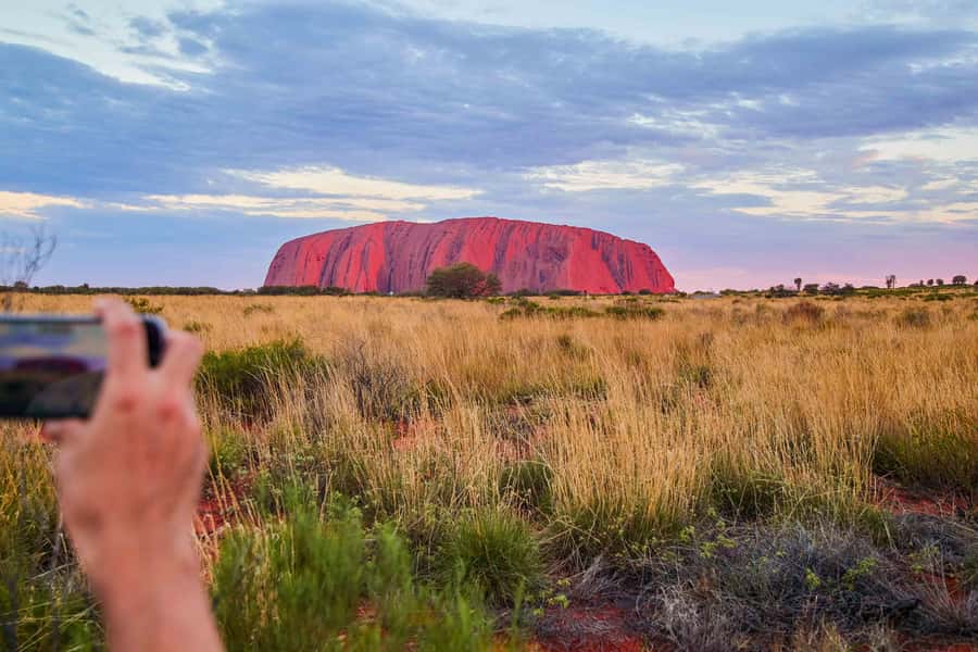 Uluru: Sacred Sites & Sunset Tour with Wine & Cheeseboard - Kuniya Walk: a guided look at flora, plus Aboriginal and European context