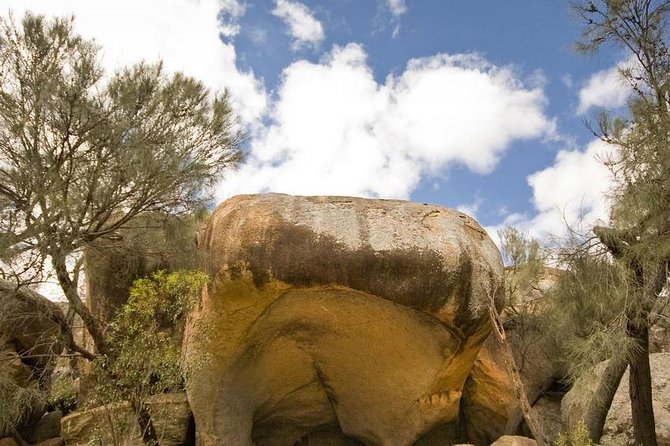 Wave Rock, York and Aboriginal Cultural Day Tour from Perth - A Wheatbelt Day Trip Built Around Wave Rock and York