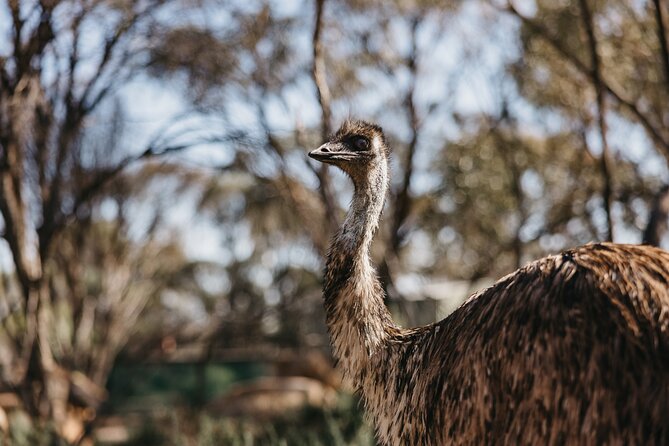Wave Rock, York and Aboriginal Cultural Day Tour from Perth - Timing, Pit Stops, and How to Not Feel Frazzled