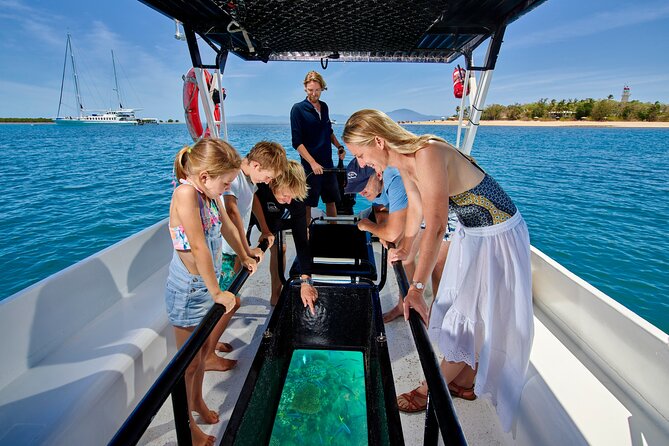 Wavedancer Low Isles Great Barrier Reef Sailing Cruise - Marine biologist-led snorkel tour: learning what your eyes are catching