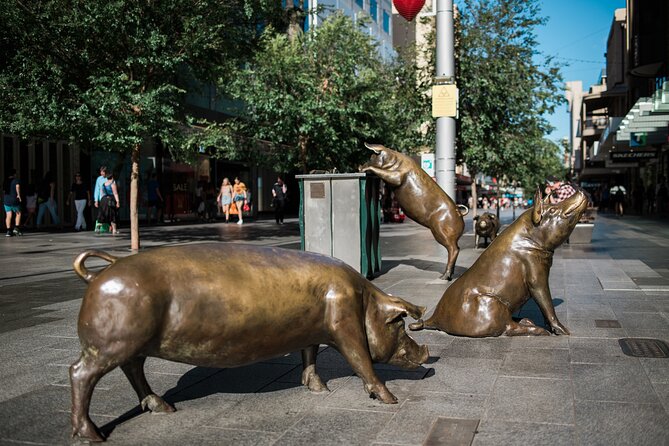 Welcome to Adelaide Walking Tour - Pacing and walking level, so you can judge if it fits