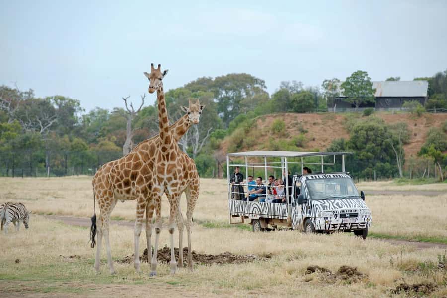 Werribee Open Range Zoo: Entry Ticket - Key things that make Werribee special