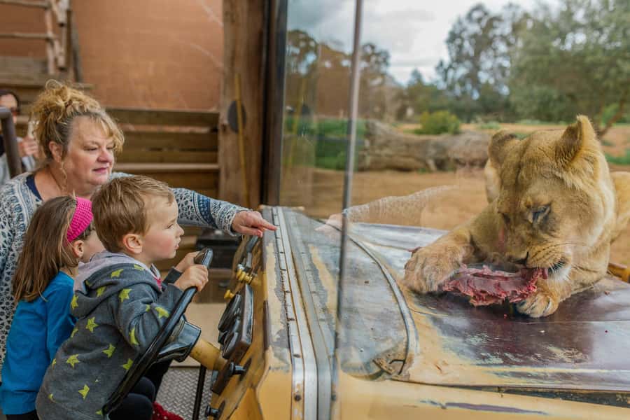 Werribee Open Range Zoo: Entry Ticket - A smart flow for your day: how to see more with less stress
