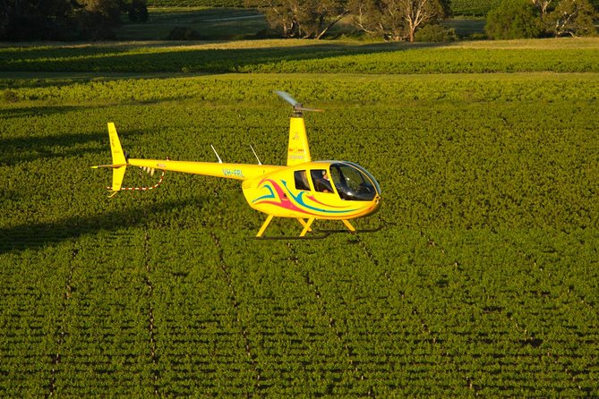 Western Ridge & Valley Floor: 20-Minute Helicopter Flight - Why This 20-Minute Helicopter Flight Feels Like a Barossa Shortcut